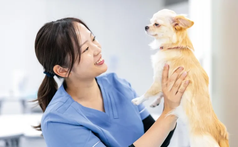 愛玩動物看護師